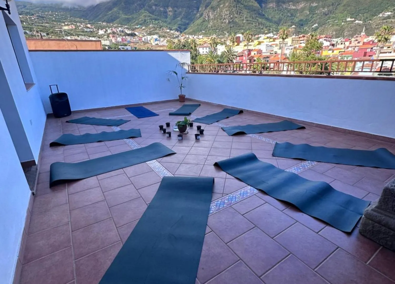 Canary Bio Hostel Tenerife Los Realejos